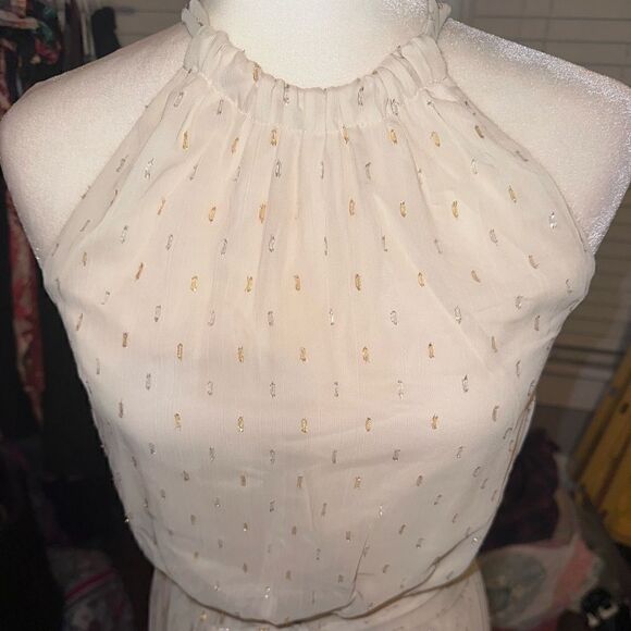 NWTs ModCloth Illuminated Elegance Chiffon Maxi Dress Size Small - Picture 3 of 9